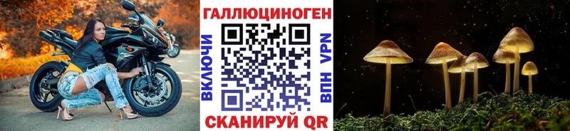 Псилоцибиновые грибы Psilocybe  Порхов 